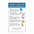 Lactose Intolerance Mega-Mags Magnet (3-1/2"x6")